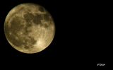 087 Lunona.jpg